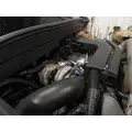 INTERNATIONAL TerraStar Door Panel (Trim) thumbnail 11