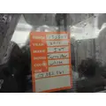 INTERNATIONAL TerraStar Door Panel (Trim) thumbnail 2