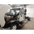 INTERNATIONAL TerraStar Door Panel (Trim) thumbnail 3