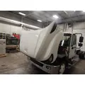 INTERNATIONAL TerraStar Door Panel (Trim) thumbnail 6