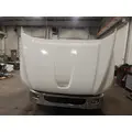 INTERNATIONAL TerraStar Door Panel (Trim) thumbnail 7