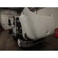 INTERNATIONAL TerraStar Door Panel (Trim) thumbnail 8