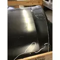 INTERNATIONAL TerraStar HOOD ASSEMBLY thumbnail 7