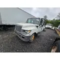 INTERNATIONAL Terrastar Hood thumbnail 3