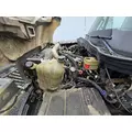 INTERNATIONAL Terrastar Radiator thumbnail 2