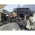 INTERNATIONAL Terrastar Radiator thumbnail 3