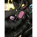 INTERNATIONAL UNKNOWN Engine Wiring Harness thumbnail 4
