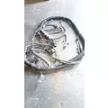 INTERNATIONAL UNKNOWN Engine Wiring Harness thumbnail 1