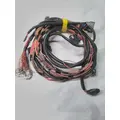 INTERNATIONAL UNKNOWN Engine Wiring Harness thumbnail 1