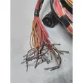 INTERNATIONAL UNKNOWN Engine Wiring Harness thumbnail 2