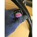 INTERNATIONAL UNKNOWN Engine Wiring Harness thumbnail 8