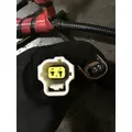 INTERNATIONAL UNKNOWN Engine Wiring Harness thumbnail 11