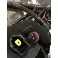 INTERNATIONAL UNKNOWN Engine Wiring Harness thumbnail 4