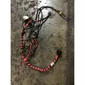 INTERNATIONAL UNKNOWN Engine Wiring Harness thumbnail 1