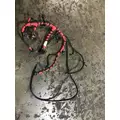 INTERNATIONAL UNKNOWN Engine Wiring Harness thumbnail 1