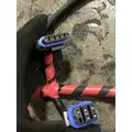 INTERNATIONAL UNKNOWN Engine Wiring Harness thumbnail 10