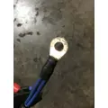 INTERNATIONAL UNKNOWN Engine Wiring Harness thumbnail 12