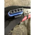 INTERNATIONAL UNKNOWN Engine Wiring Harness thumbnail 4