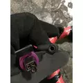 INTERNATIONAL UNKNOWN Engine Wiring Harness thumbnail 7