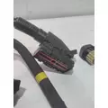 INTERNATIONAL UNKNOWN Engine Wiring Harness thumbnail 3