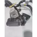 INTERNATIONAL UNKNOWN Engine Wiring Harness thumbnail 4