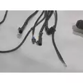 INTERNATIONAL UNKNOWN Engine Wiring Harness thumbnail 2