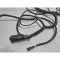 INTERNATIONAL UNKNOWN Engine Wiring Harness thumbnail 3