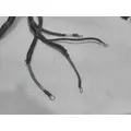 INTERNATIONAL UNKNOWN Engine Wiring Harness thumbnail 4