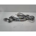 INTERNATIONAL UNKNOWN WIRING HARNESS, ENGINE thumbnail 1