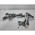 INTERNATIONAL UNKNOWN WIRING HARNESS, ENGINE thumbnail 1