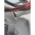 INTERNATIONAL UNKNOWN WIRING HARNESS, ENGINE thumbnail 4