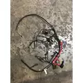 INTERNATIONAL UNKNOWN WIRING HARNESS, ENGINE thumbnail 1