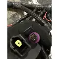 INTERNATIONAL UNKNOWN WIRING HARNESS, ENGINE thumbnail 4