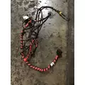 INTERNATIONAL UNKNOWN WIRING HARNESS, ENGINE thumbnail 1