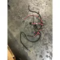 INTERNATIONAL UNKNOWN WIRING HARNESS, ENGINE thumbnail 1