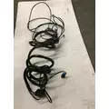 INTERNATIONAL UNKNOWN WIRING HARNESS, ENGINE thumbnail 2