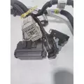 INTERNATIONAL UNKNOWN WIRING HARNESS, ENGINE thumbnail 4