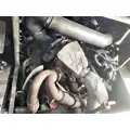 INTERNATIONAL VT-365 6.0L Engine Assembly thumbnail 4