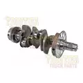 INTERNATIONAL VT275 Crankshaft thumbnail 2