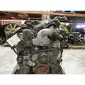 INTERNATIONAL VT275 Engine Assembly thumbnail 10