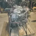 INTERNATIONAL VT275 Engine Assembly thumbnail 5