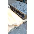INTERNATIONAL VT365 (6.0L) Cylinder Block thumbnail 5