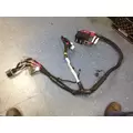 INTERNATIONAL VT365 (6.0L) WIRING HARNESS, ENGINE thumbnail 1