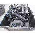 INTERNATIONAL VT365 6.0L ENGINE ASSEMBLY thumbnail 5