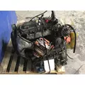 INTERNATIONAL VT365 6.0L ENGINE ASSEMBLY thumbnail 6