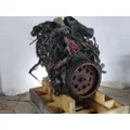 INTERNATIONAL VT365 6.0L ENGINE ASSEMBLY thumbnail 4