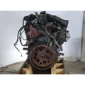 INTERNATIONAL VT365 6.0L ENGINE ASSEMBLY thumbnail 5