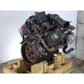 INTERNATIONAL VT365 6.0L ENGINE ASSEMBLY thumbnail 6