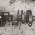 INTERNATIONAL VT365 Crankshaft thumbnail 3