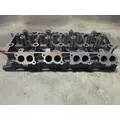INTERNATIONAL VT365 Cylinder Head thumbnail 1